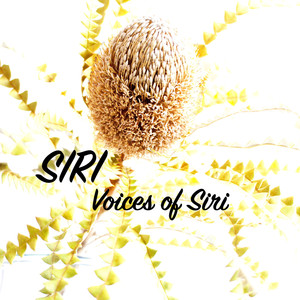 Voices Of Siri