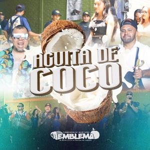 Aguita de coco