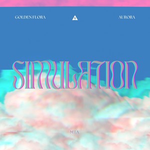 Simulation