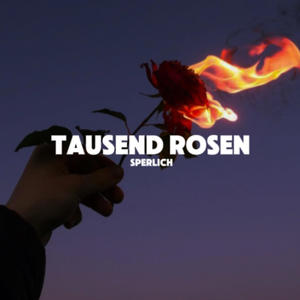 TAUSEND ROSEN (Explicit)