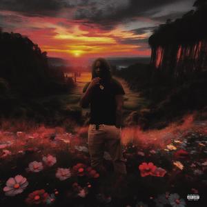 Afford The Life (Explicit)