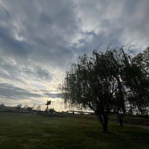 i swear i saw you at the park