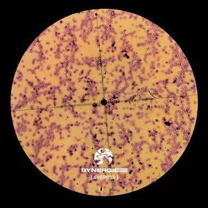 Solar Plexus (SYEP033|Dxrvo Remix)