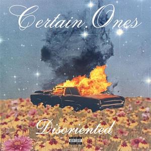 Disoriented (feat. Bobby Craves, Raw Thesus, Aztek the Barfly & Wann Sklobi) (Explicit)