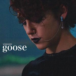 goose