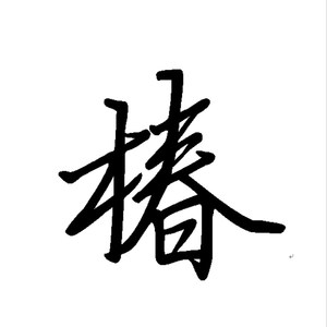 椿