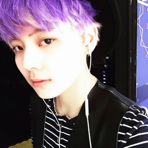 紅薔薇白玫瑰if you big bang Mixingwine (女声cover)