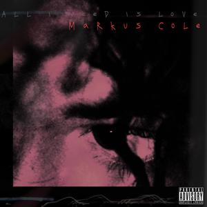 All I Need Is Love (Explicit)