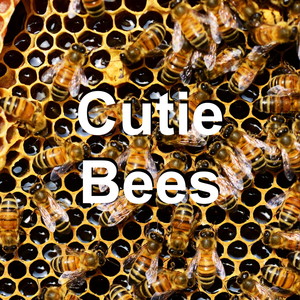 Cutie Bees