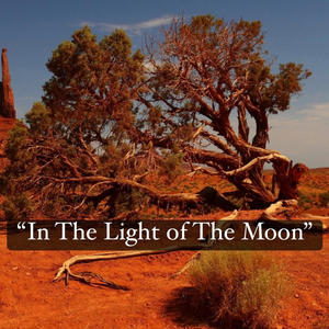 In The Light of The Moon
