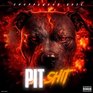 Pit **** (Explicit)