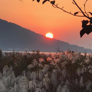 苏州慢