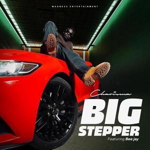 BIG STEPPER (feat. Bee jay) (Explicit)