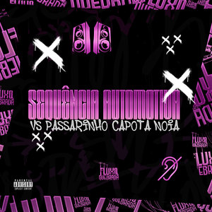 SEQUÊNCIA AUTOMOTIVA x PASSARINHO CAPOTA NOIA (Explicit)