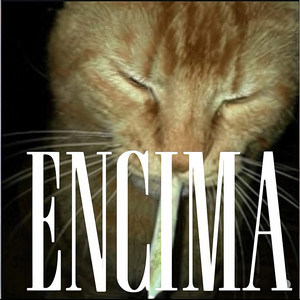 Encima