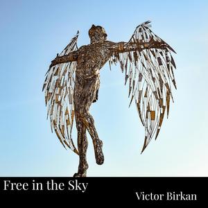 Free in the Sky