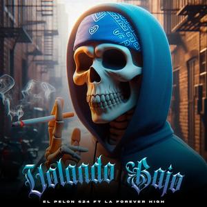 Volando Bajo (feat. GusFH & Rwken) (Explicit)