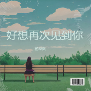 好想再次见到你