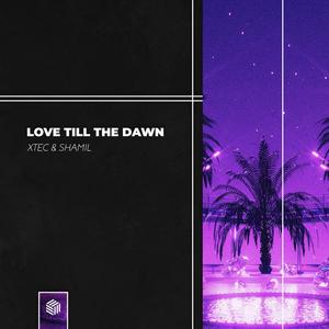 Love Till The Dawn (Extended Mix)
