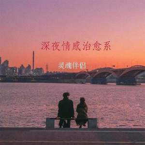 感情从来不是一个人的事 (DJ长音频)封面