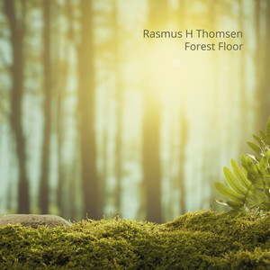 Forest Floor