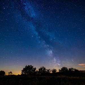 Orquesta De La Paz En Armonía Del Sueño