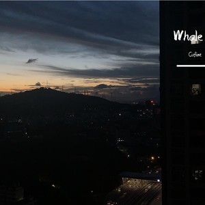 whale