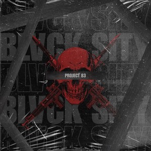 Project 83