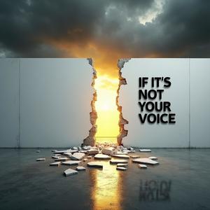 If It's Not Your Voice