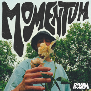 Momentum (Explicit)