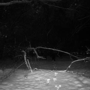 Иди нахуй (Explicit)