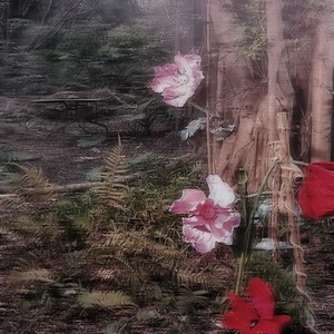 千渡 - 落在生命里的光