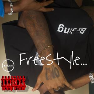 Freestyle 1310 (Explicit)