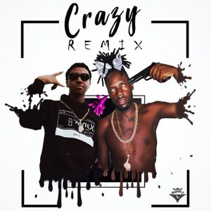 Crazy (Remix|Explicit)