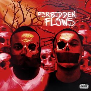 Forbidden Flows (Explicit)