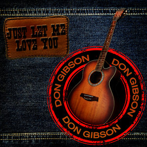 Don Gibson - Why Am I so Lonely