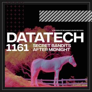 After Midnight (Radio Edit)