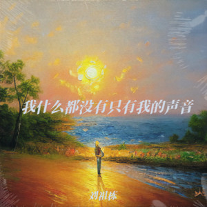 我什么都没有只有我的声音
