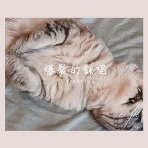 崩坏世界的歌姬 口哨版本