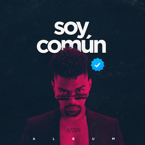 Soy Común