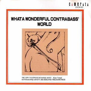 What a Wonderful Contrabass World