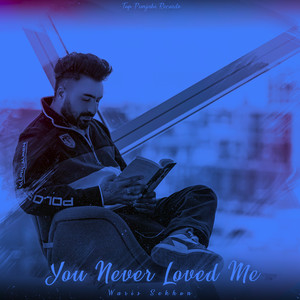 You Never Loved Me