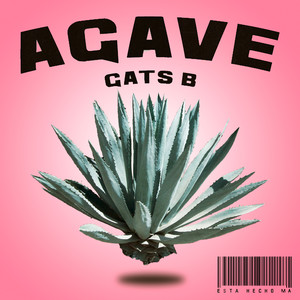 Agave (Explicit)