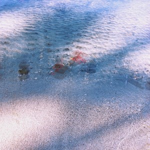 Circadian Delays - Low Tide