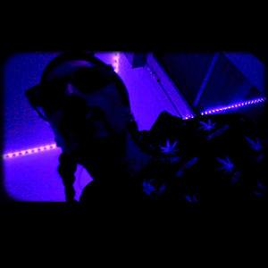 CABALLO ARABE (Explicit)