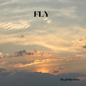 Fly