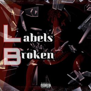 LB:LABELS BROKEN (Explicit)