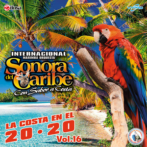 Caribemix Merenguero # 3: Un Hombre Busca una Mujer / El Cariño Es Como una Flor / El Coco