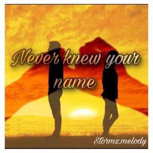 Never Knew Your Name