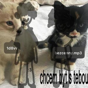 chcem byt s tebou (Explicit)